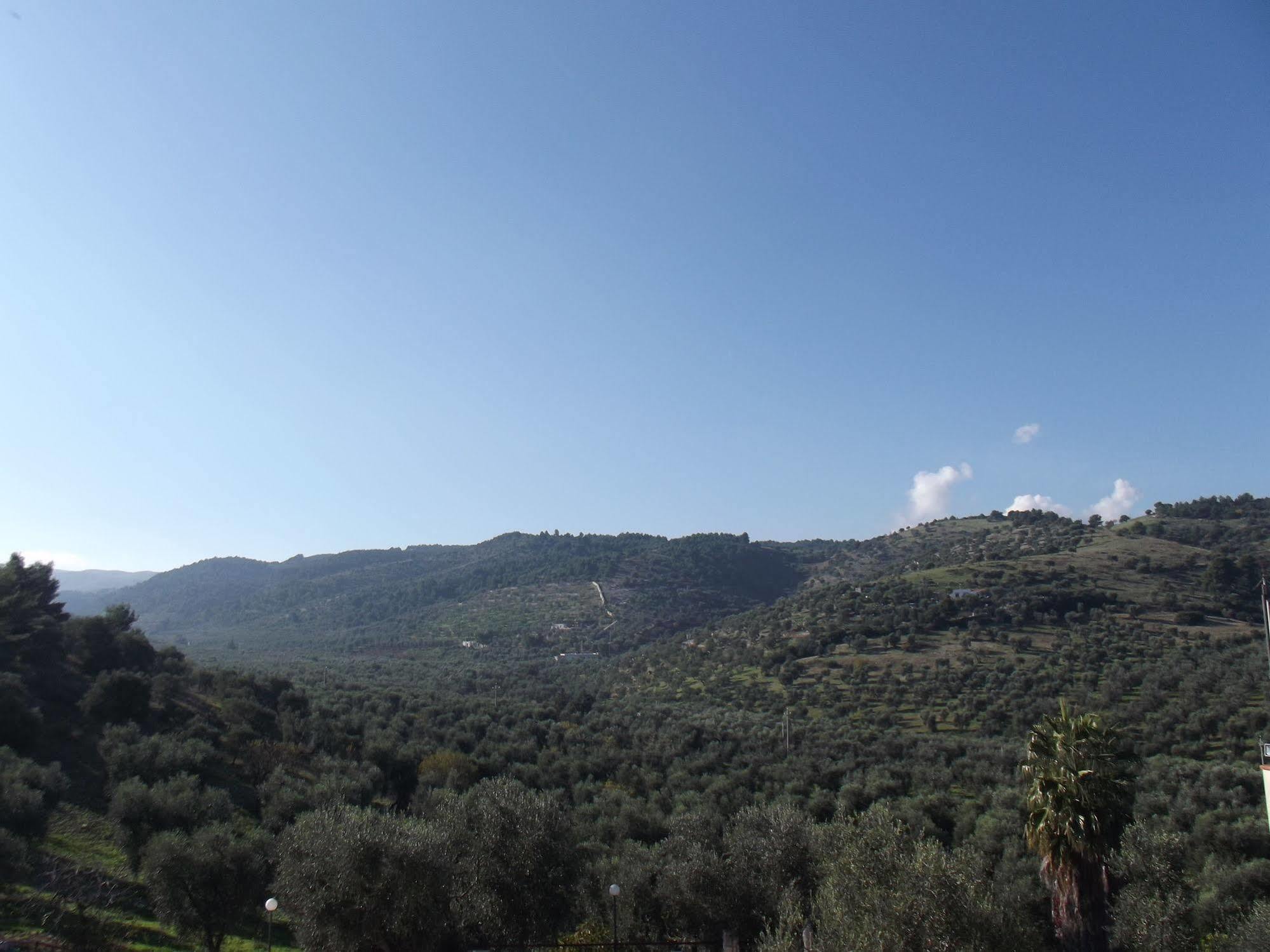Agricostella Agriturismo Vieste Bagian luar foto